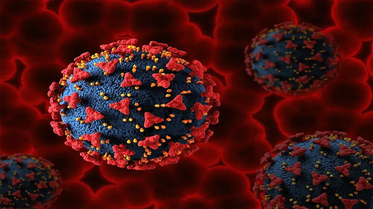 Foto - Covid 19 aşıları sonrası kan pıhtılaşması! Gizem sonunda çözüldü