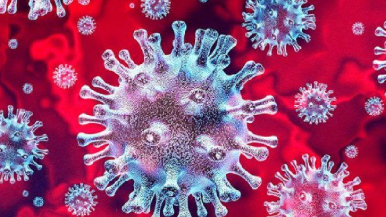 Foto - Covid-19 pandemisinde aşı iki can almıştı! Sebebi ortaya çıktı