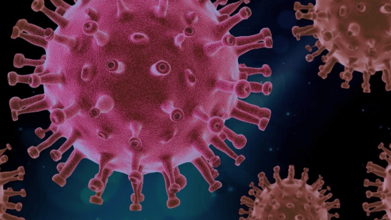 Foto - Covid-19 pandemisinde aşı iki can almıştı! Sebebi ortaya çıktı