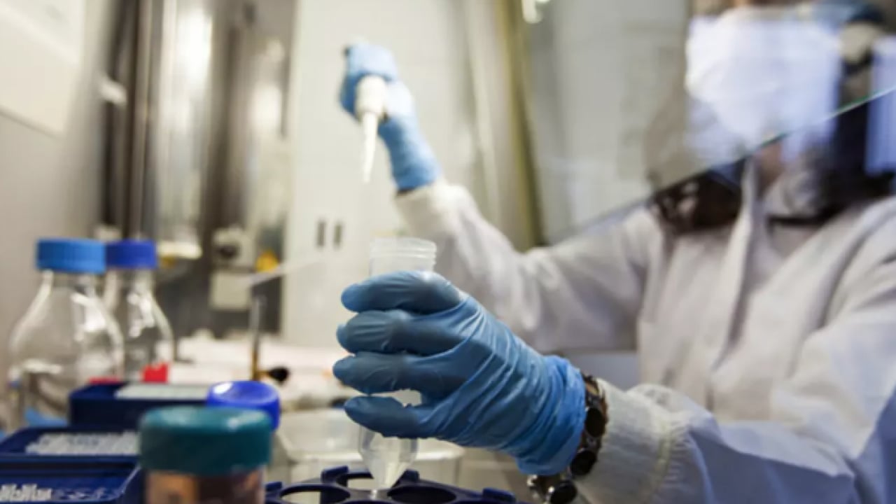 Foto - Covid benzeri... Yeni virüs insan hücrelerine girebiliyor! CcCoV-KY43 paniği