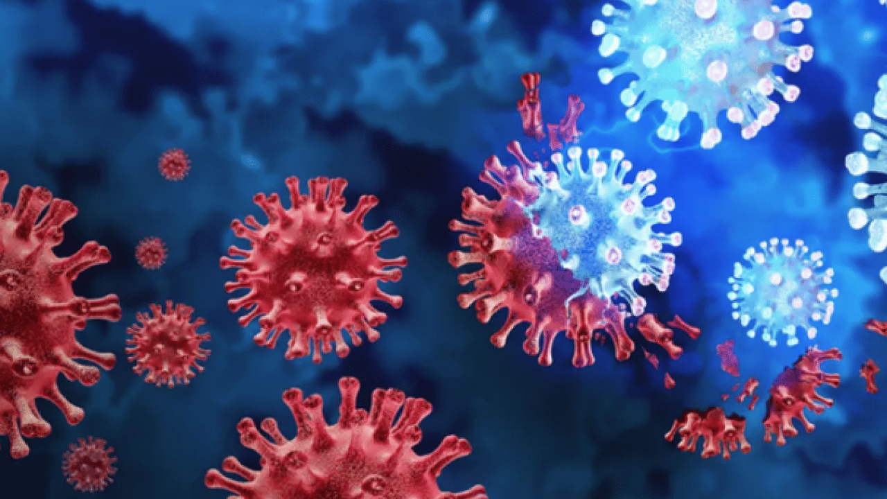 Foto - Covid benzeri... Yeni virüs insan hücrelerine girebiliyor! CcCoV-KY43 paniği