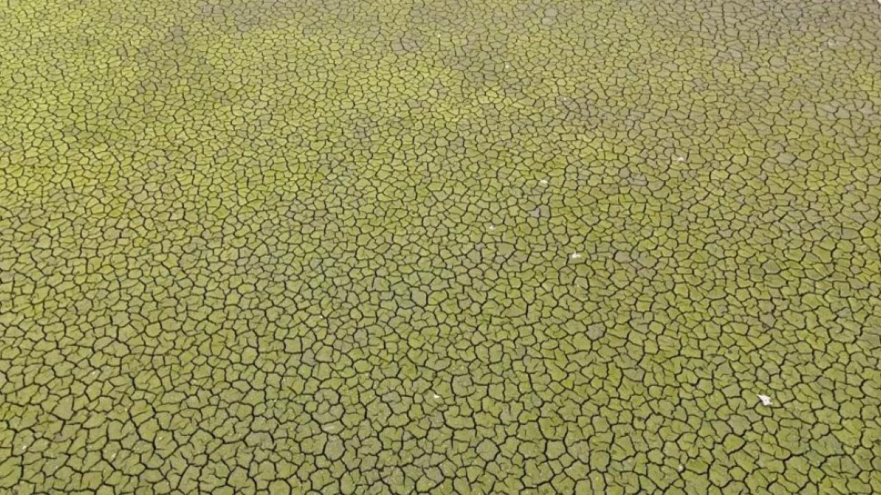 Foto - Çözüm üretmeyen CHP’li yönetim uykuda! İstanbul'da tehlike kapıya dayandı