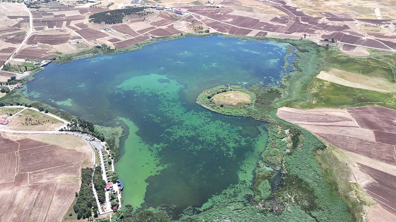 Foto - Cumhurbaşkanı korumaya almıştı! Kuruyan göl şimdi mesire alanı oldu