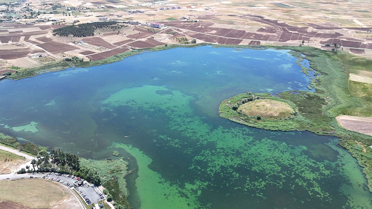 Foto - Cumhurbaşkanı korumaya almıştı! Kuruyan göl şimdi mesire alanı oldu