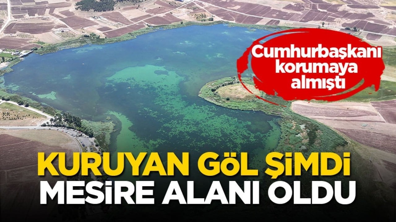 Cumhurbaşkanı korumaya almıştı! Kuruyan göl şimdi mesire alanı oldu