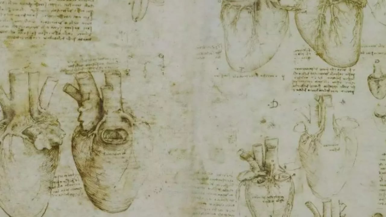 Foto - Da Vinci 500 yıl önce çizmişti: Öngörüsü doğru çıktı!