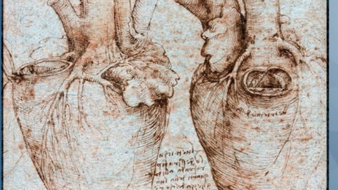 Foto - Da Vinci 500 yıl önce çizmişti: Öngörüsü doğru çıktı!