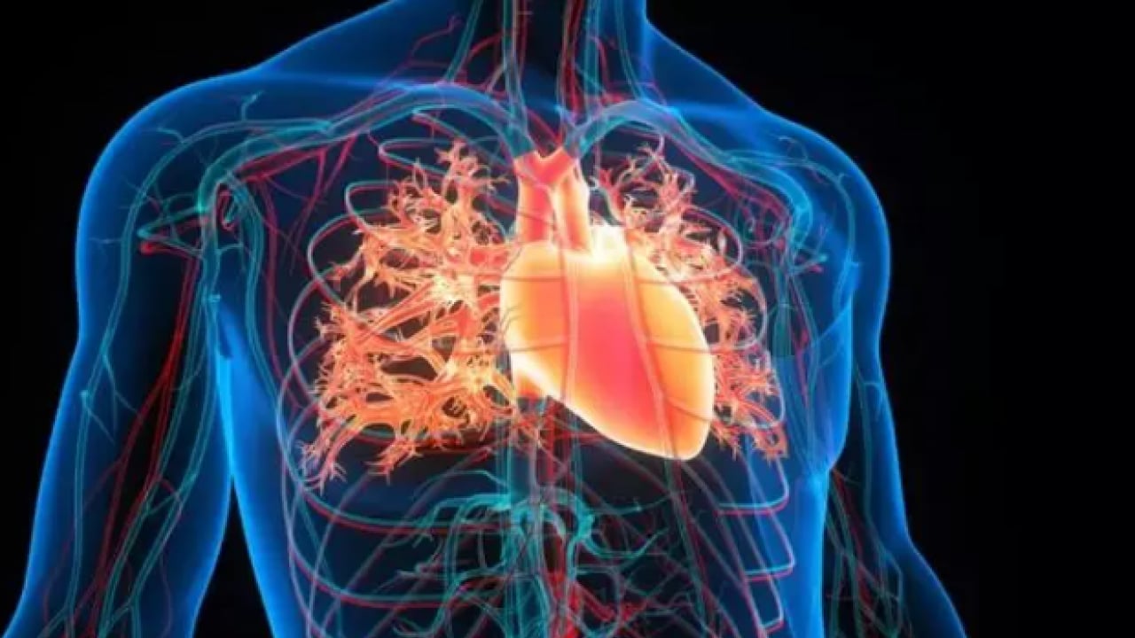 Foto - Da Vinci 500 yıl önce çizmişti: Öngörüsü doğru çıktı!