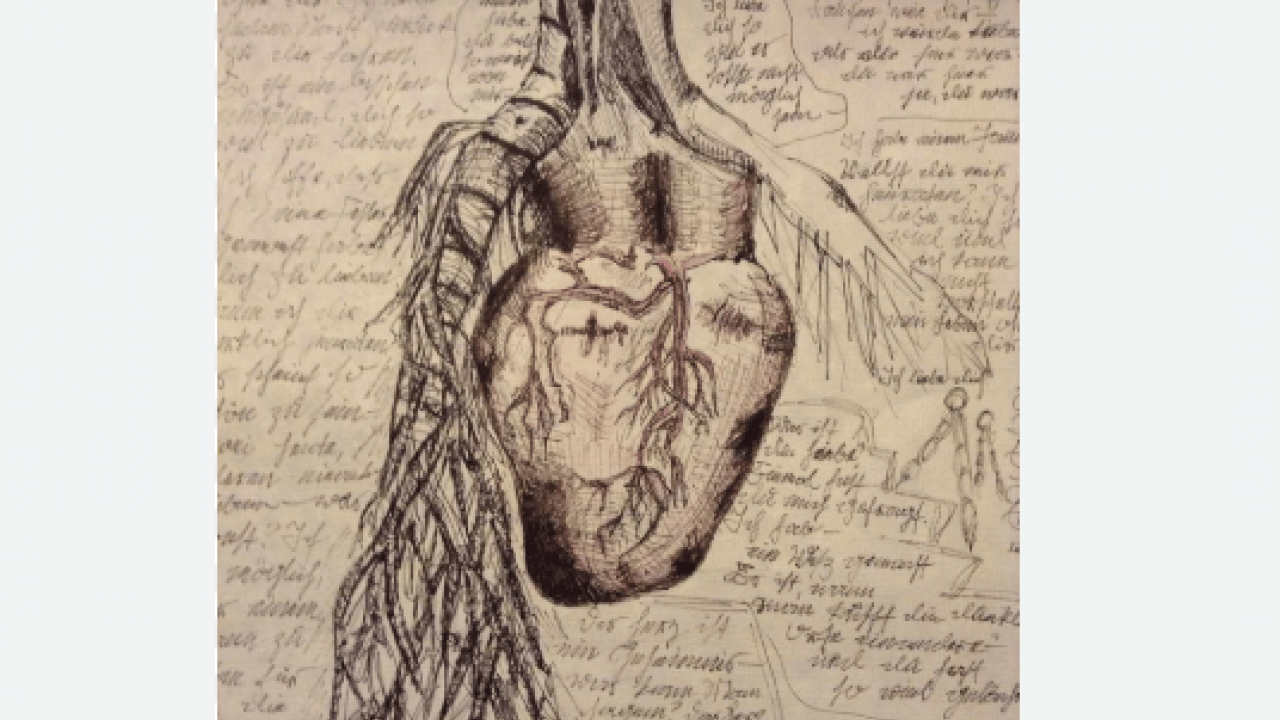 Foto - Da Vinci 500 yıl önce çizmişti: Öngörüsü doğru çıktı!