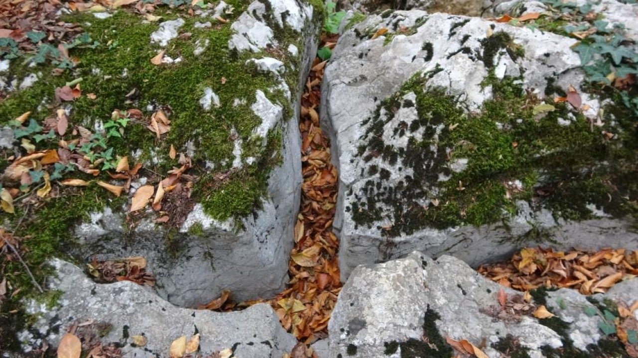 Foto - Dağ tepe demeden köstebek gibi delik deşik ettiler