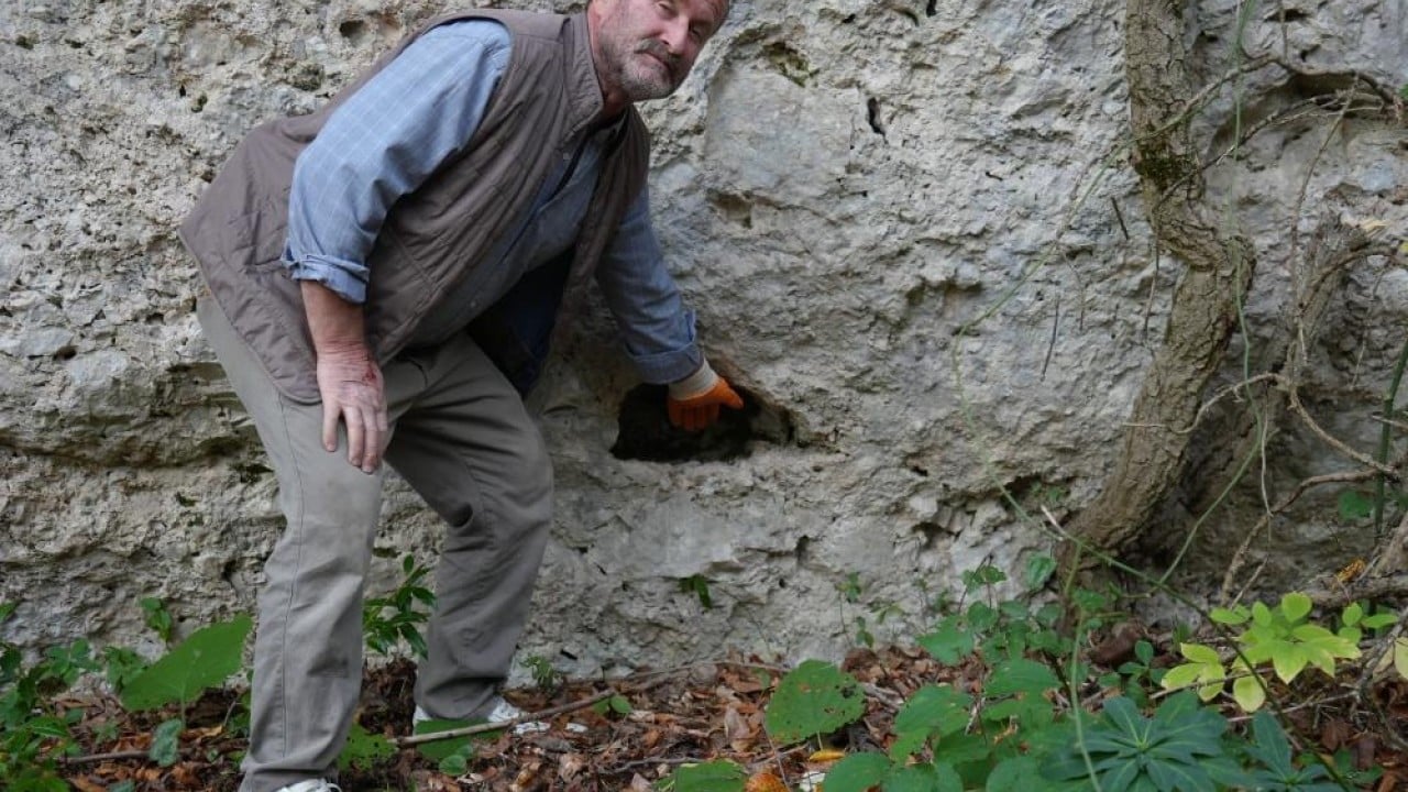 Foto - Dağ tepe demeden köstebek gibi delik deşik ettiler