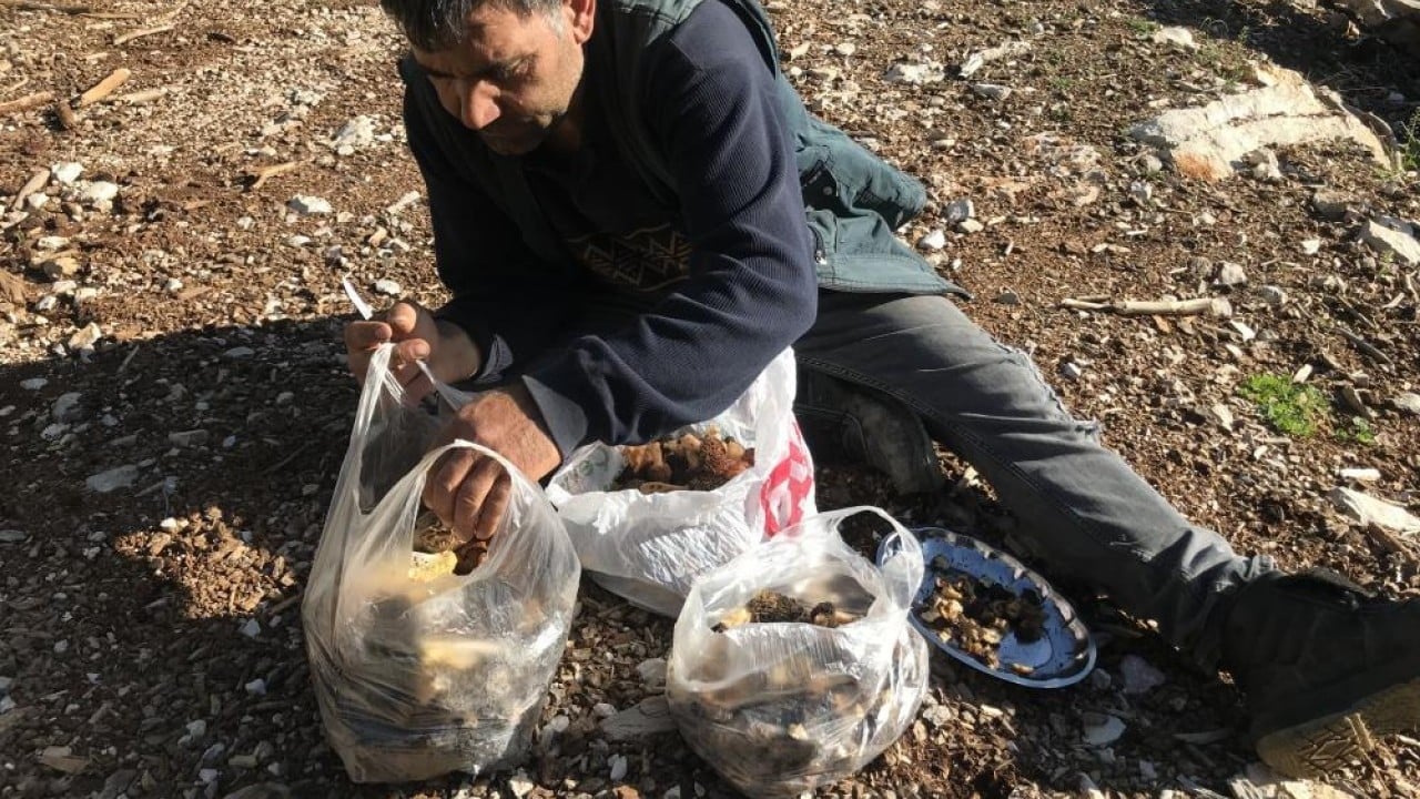 Foto - Dağda bedava şehirde kilosu bin 500 lira