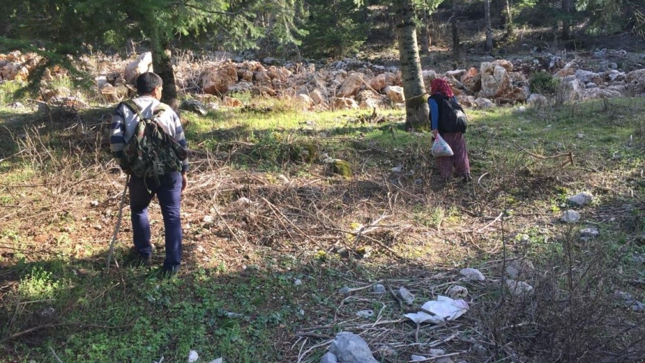 Foto - Dağda bedava şehirde kilosu bin 500 lira