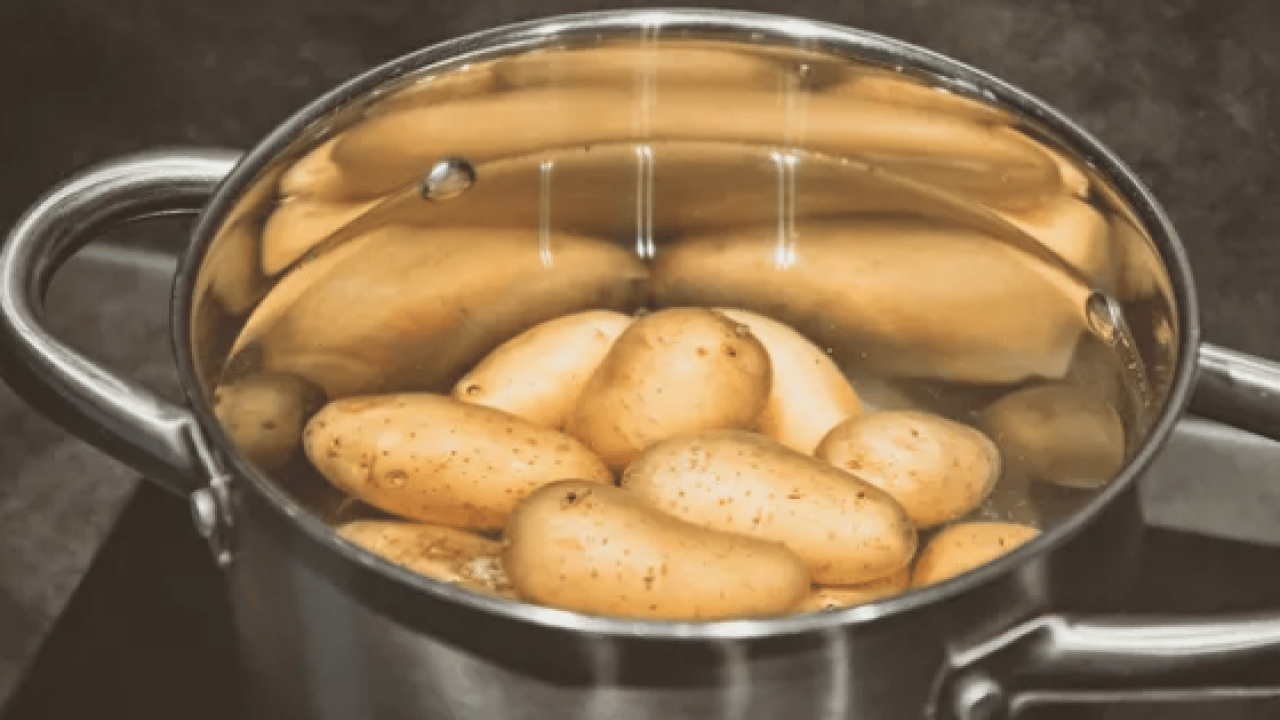 Foto - Daha diri olması için... Patates haşlarken yapılan bu hata tüm lezzeti bozuyor!