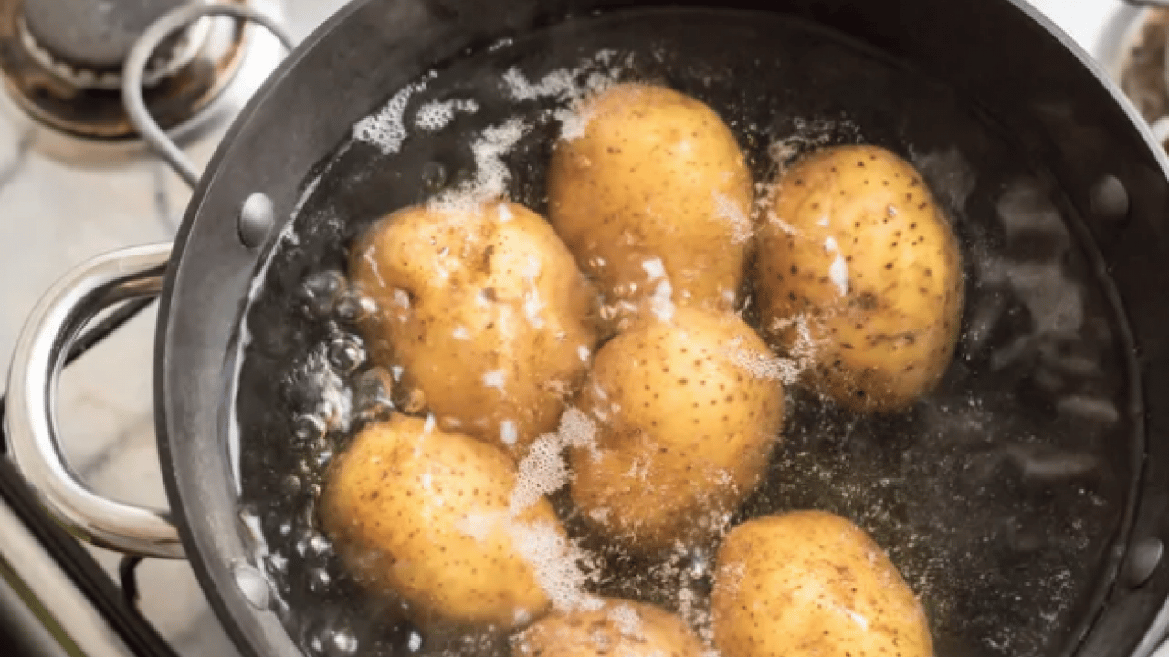 Foto - Daha diri olması için... Patates haşlarken yapılan bu hata tüm lezzeti bozuyor!