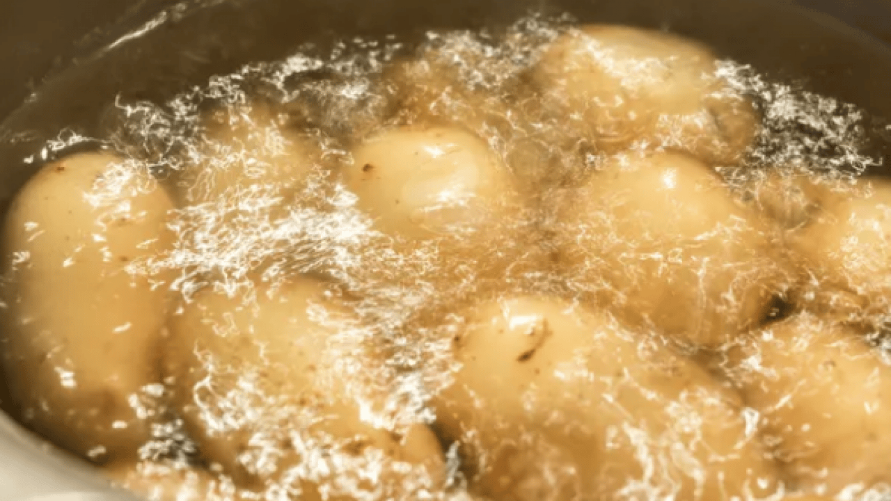 Foto - Daha diri olması için... Patates haşlarken yapılan bu hata tüm lezzeti bozuyor!