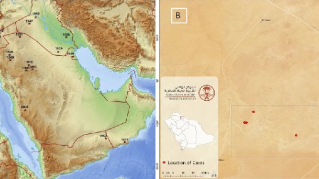 Foto - Daha önce görülmemiş keşif! Mağarada kemikleri bulundu