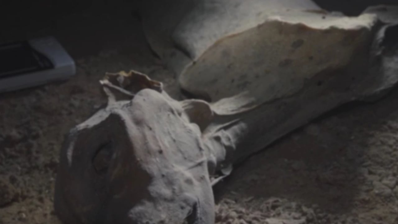 Foto - Daha önce görülmemiş keşif! Mağarada kemikleri bulundu