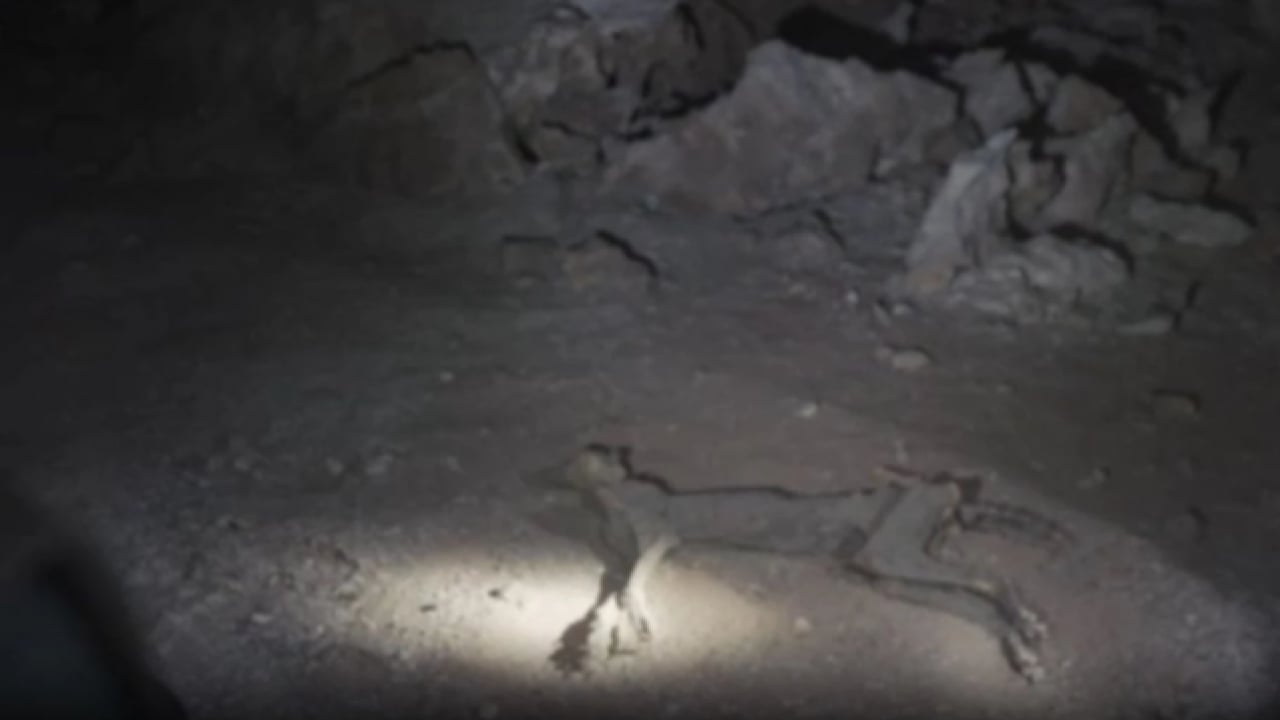 Foto - Daha önce görülmemiş keşif! Mağarada kemikleri bulundu