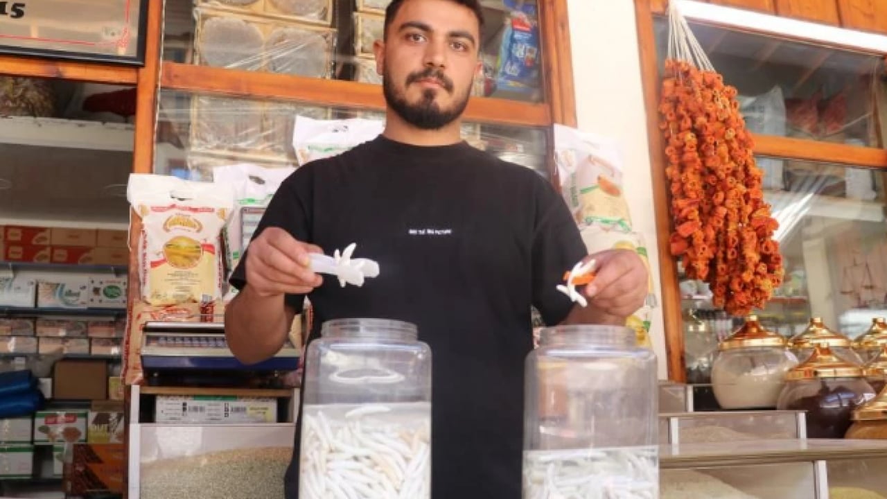 Foto - Daha önce ismini duymamış olabilirsiniz! Sivas'ta yetişen bu bitkinin fiyatı dudak uçuklatıyor