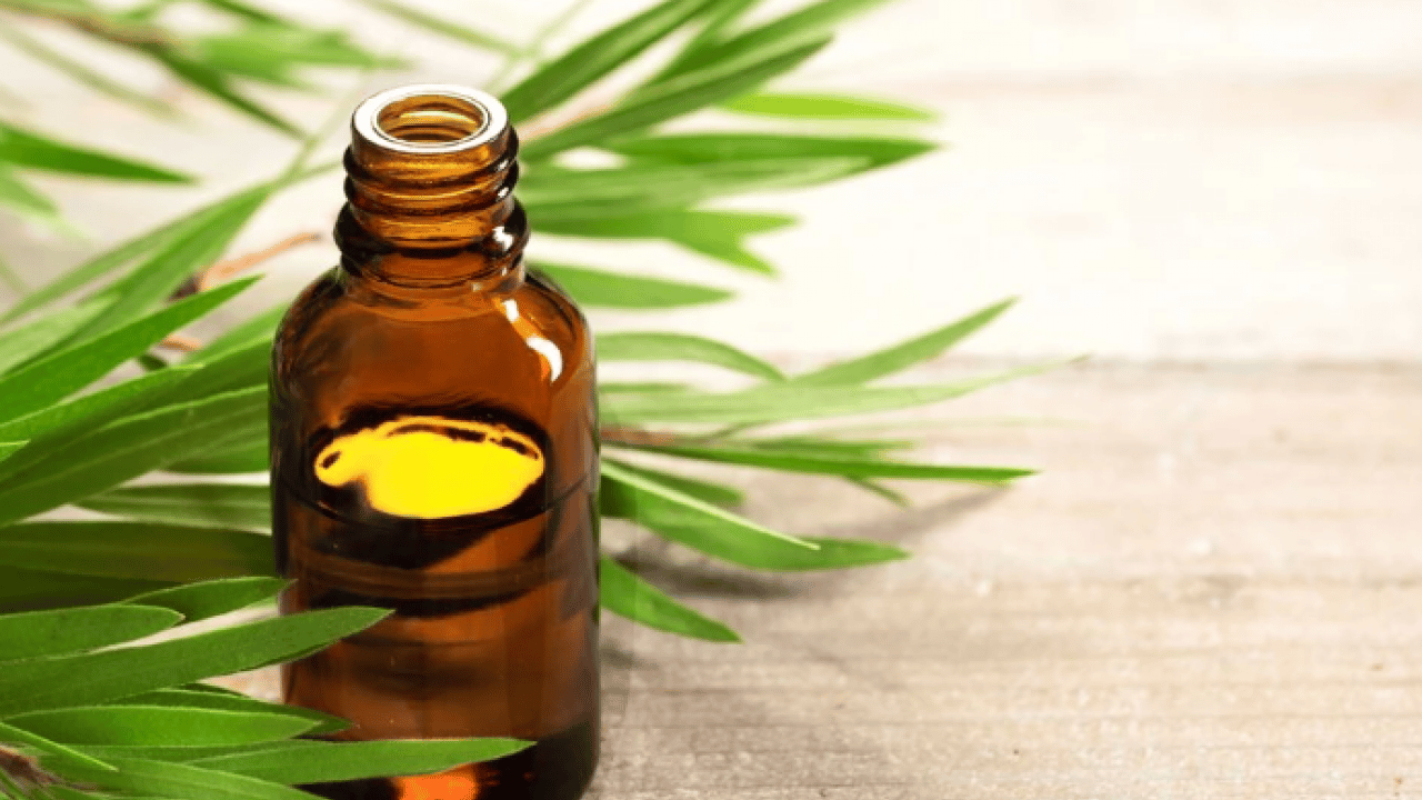 Foto - Dakikalar içinde sorunu çözecek! Saç kepeğinden kurtulmanın doğal yolu açıklandı