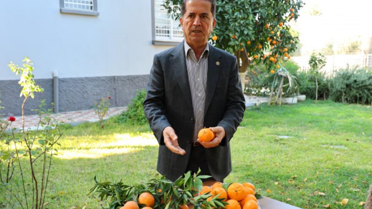 Foto - Dalında 3 lira, pazarda 5 lira! Kış aylarının vazgeçilmez tadı fiyatıyla yüzleri güldürdü