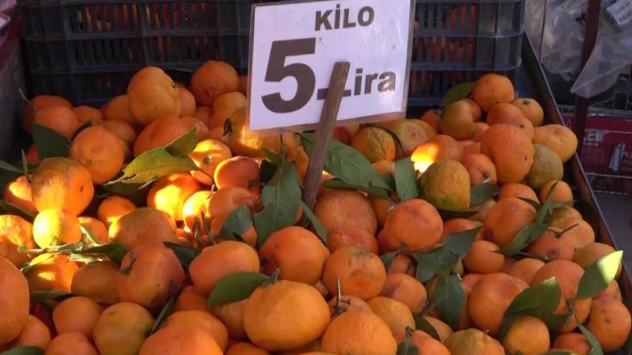 Foto - Dalında 3 lira, pazarda 5 lira! Kış aylarının vazgeçilmez tadı fiyatıyla yüzleri güldürdü