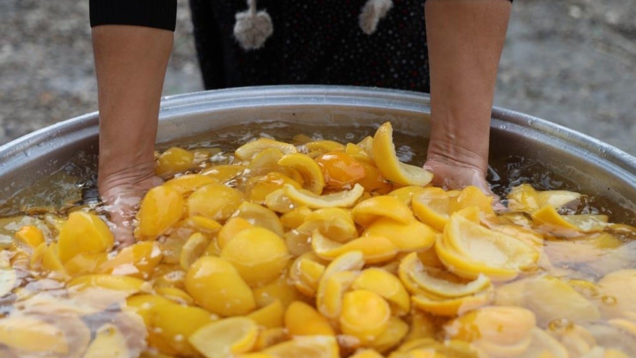 Foto - Dalında 5 lira kazana girince 300 lira!