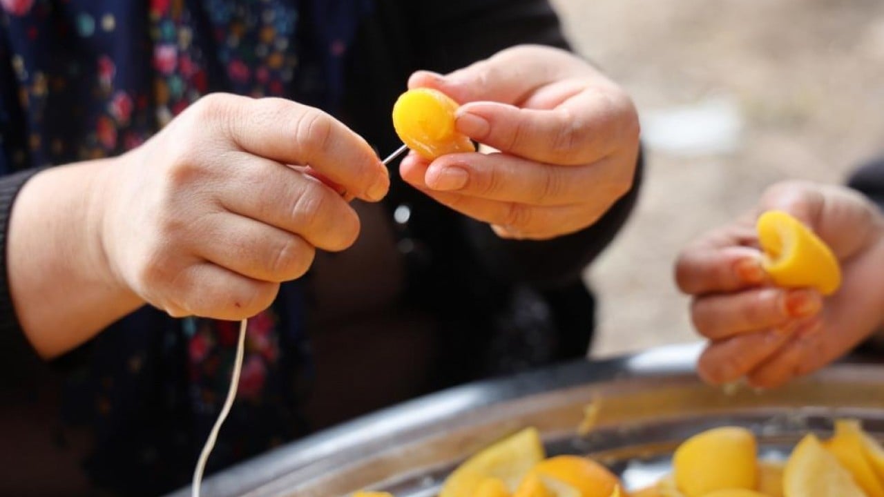 Foto - Dalında 5 lira kazana girince 300 lira!