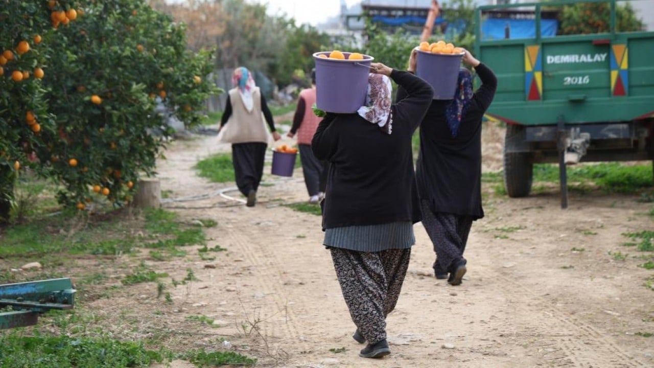 Foto - Dalında 5 lira kazana girince 300 lira!