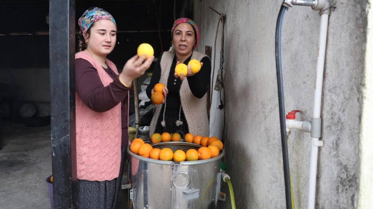Foto - Dalında 5 lira kazana girince 300 lira!