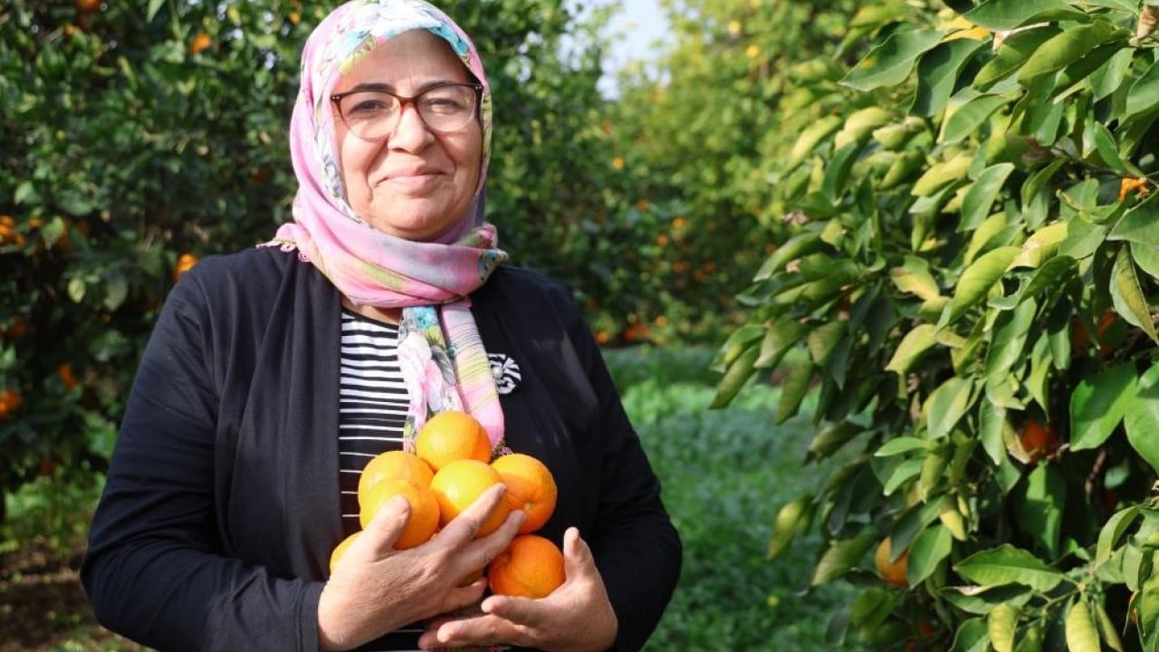 Foto - Dalında 5 lira kazana girince 300 lira!