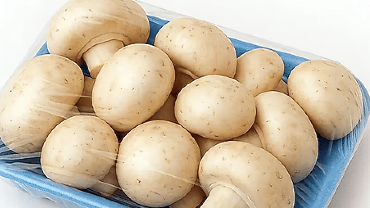 Damakları çatlatacak enfes bir lezzet tarifesi daha! Denemeyen bin pişman... Mantar sevmeyenleri bile...