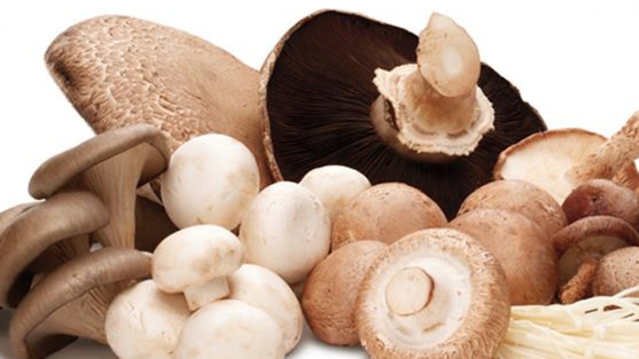 Foto - Damakları çatlatacak enfes bir lezzet tarifesi daha! Denemeyen bin pişman... Mantar sevmeyenleri bile...