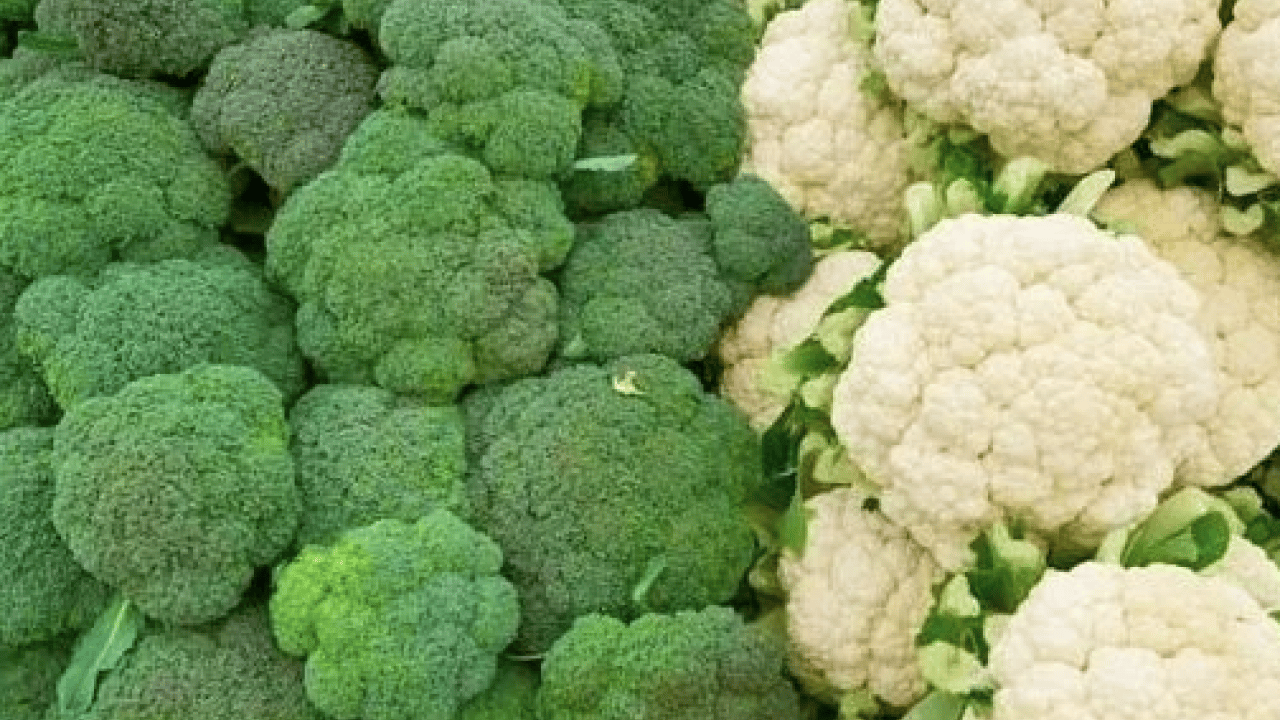 Foto - Damar tıkanıklığını durduruyor... Kolesterolü tarihe gömecek şifa kaynağı bu!