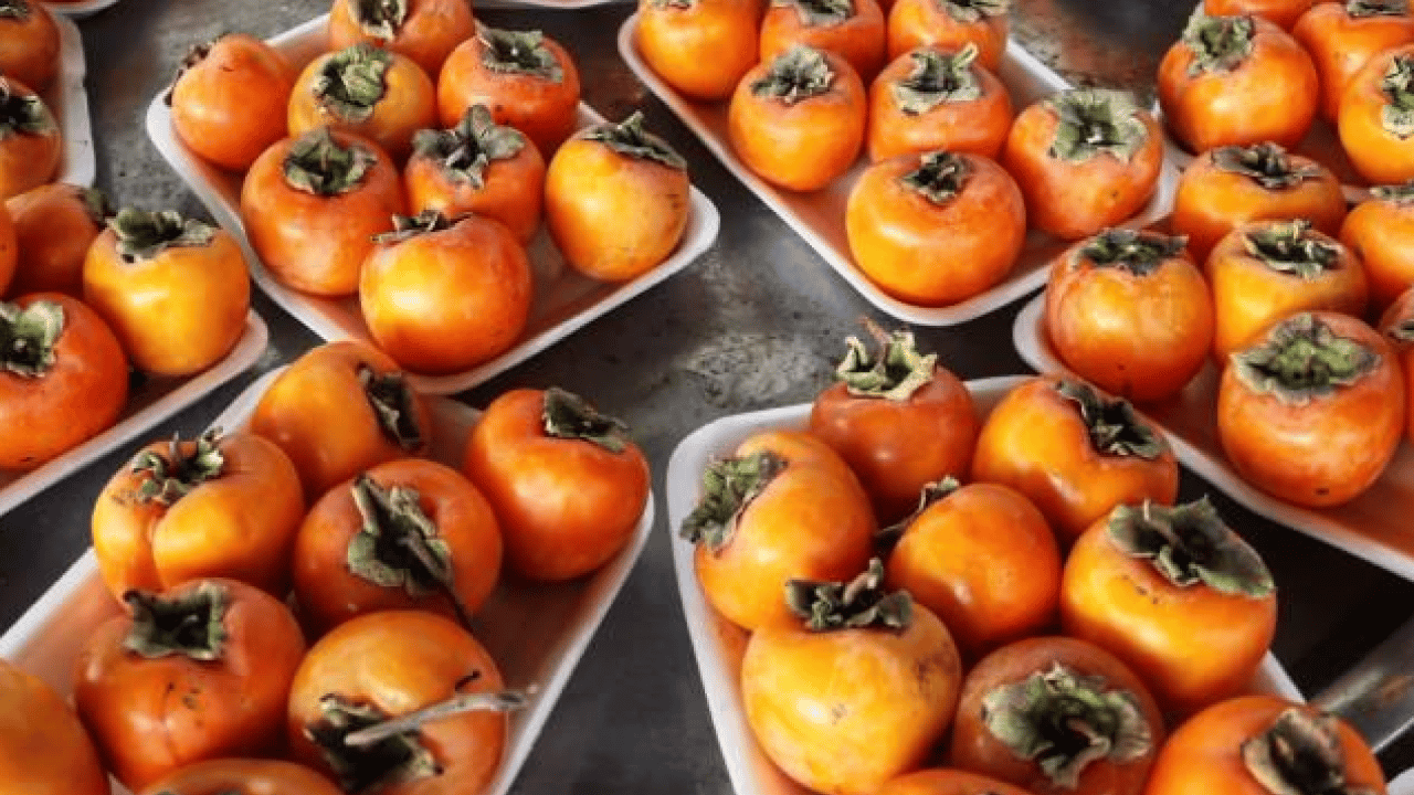 Foto - Damar yollarını otobana çeviriyor: Doğal tansiyon ilacı!