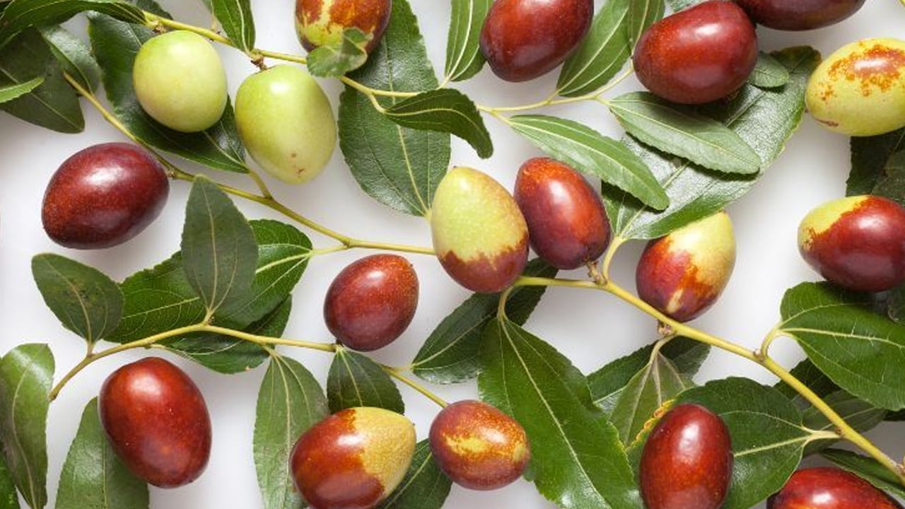 Damardaki yağı söküp atıyor, kolesterolden eser kalmıyor! Hem şifa dolu hem de daha faydalı! Satışı şaşırttı! Suya atın