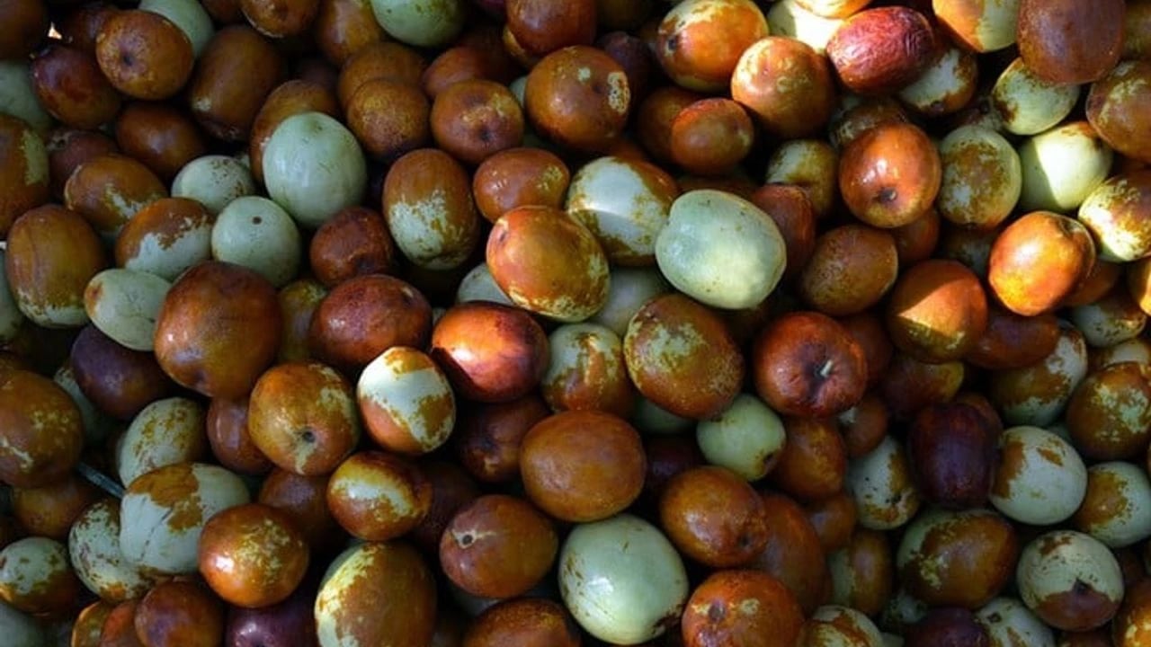 Foto - Damardaki yağı söküp atıyor, kolesterolden eser kalmıyor! Hem şifa dolu hem de daha faydalı! Satışı şaşırttı! Suya atın