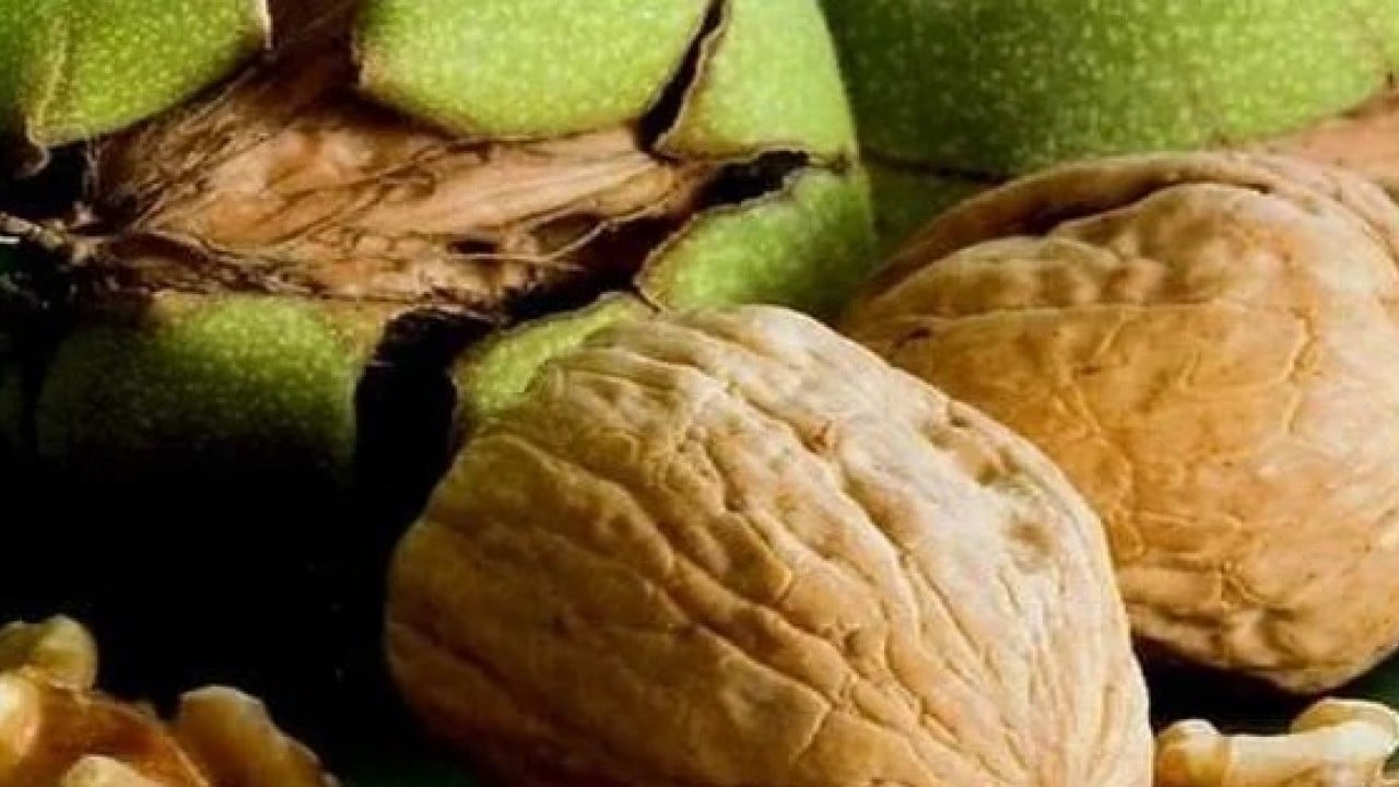 Foto - Damarları 'paspas' gibi temizliyor, hafızayı çelik gibi yapıyor! Sabah aç karnına 1 bardak içen yaşadı