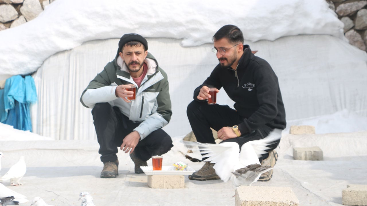 Damdaki miras! 20 yıldır 50 güvercine bakıyor