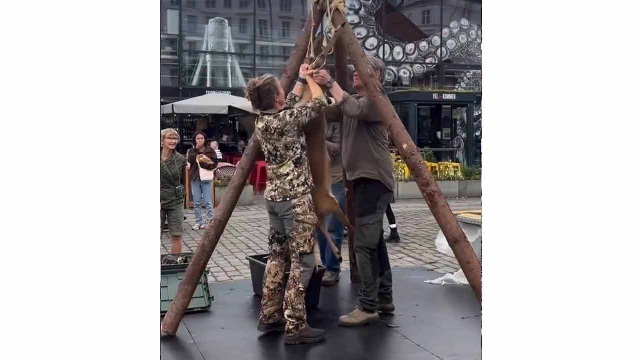 Foto - Danimarka’da, "hayvan böyle yüzülür"... Türkiye’de, "yapmayın çocuklar üzülür"