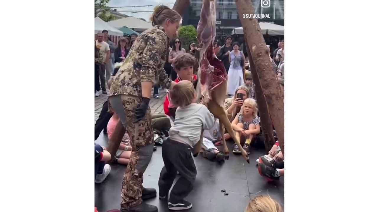 Foto - Danimarka’da, "hayvan böyle yüzülür"... Türkiye’de, "yapmayın çocuklar üzülür"