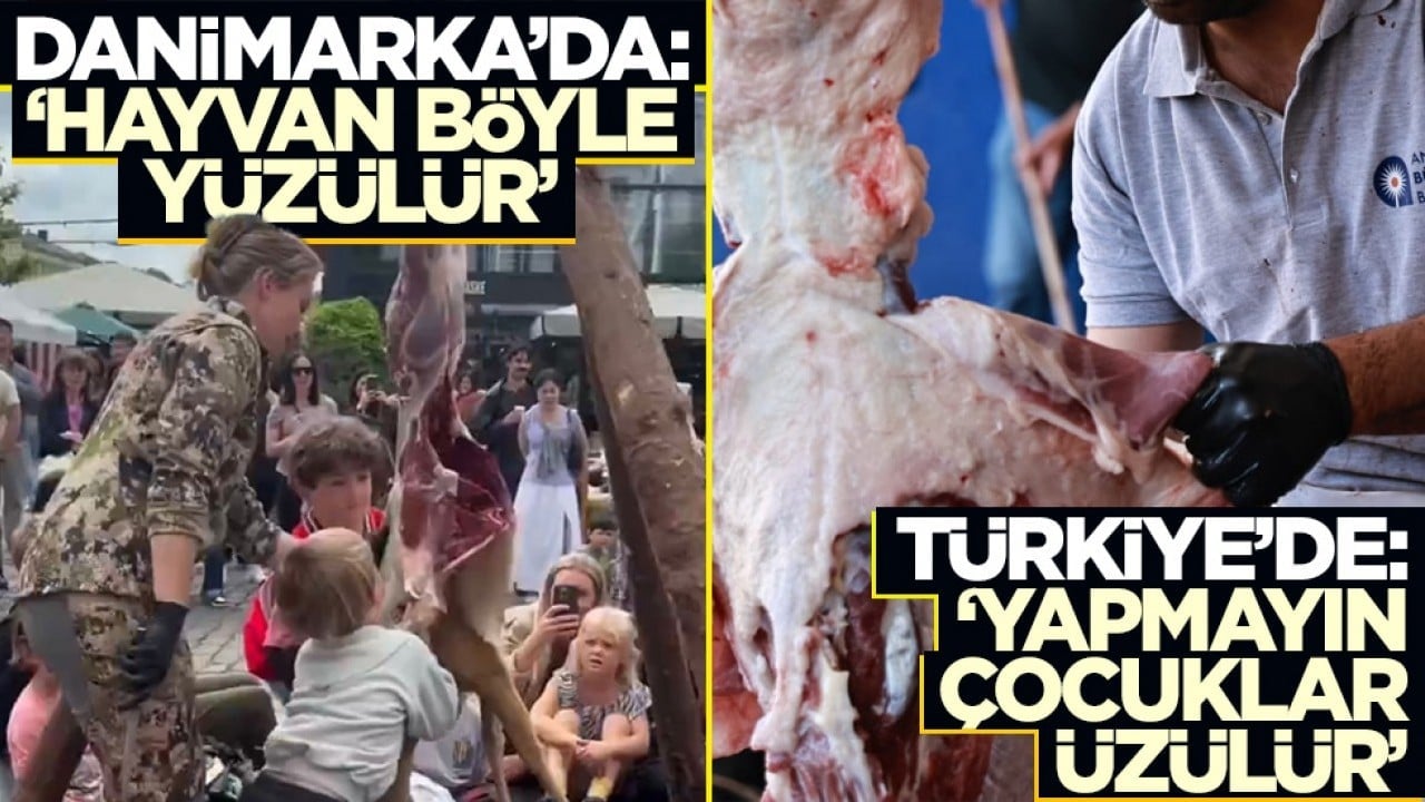 Danimarka’da, "hayvan böyle yüzülür"... Türkiye’de, "yapmayın çocuklar üzülür"