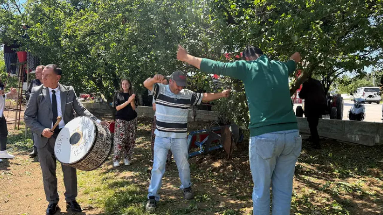 Davullu zurnalı hasat! 4 kat artınca göbek attılar!