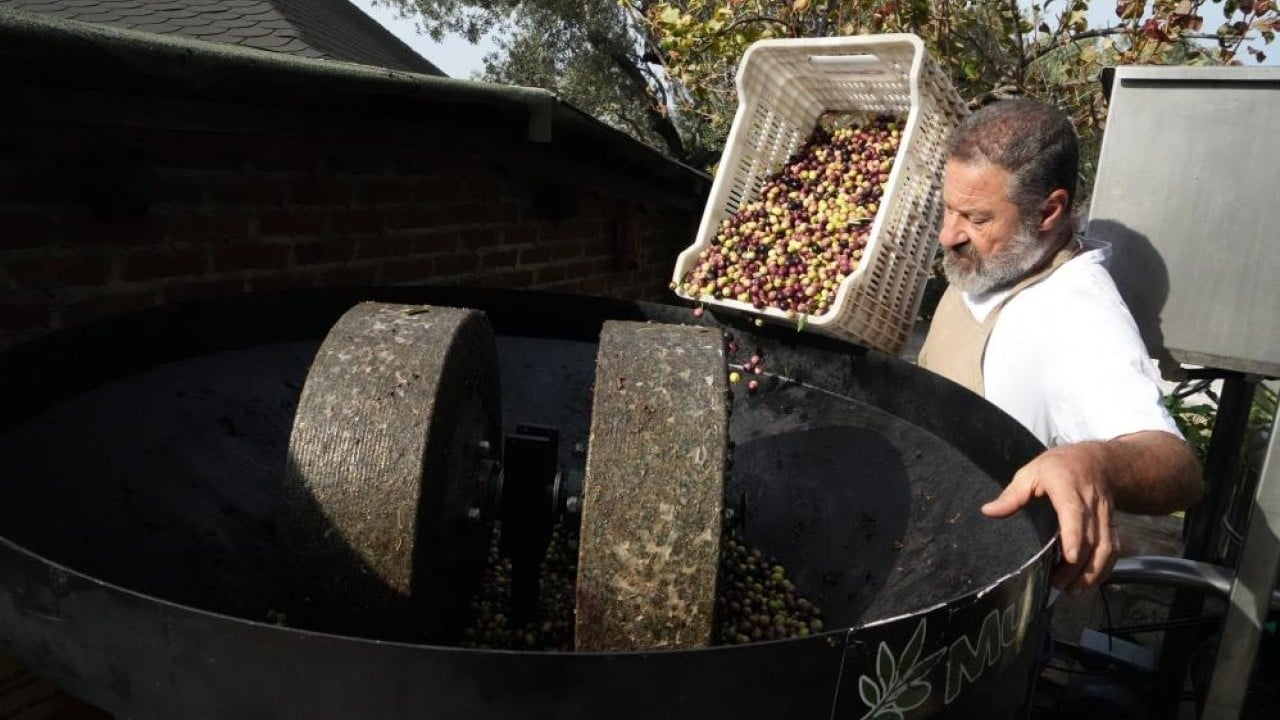 Foto - Dede yadigarı 'Taş baskı'yı yaşatıyor