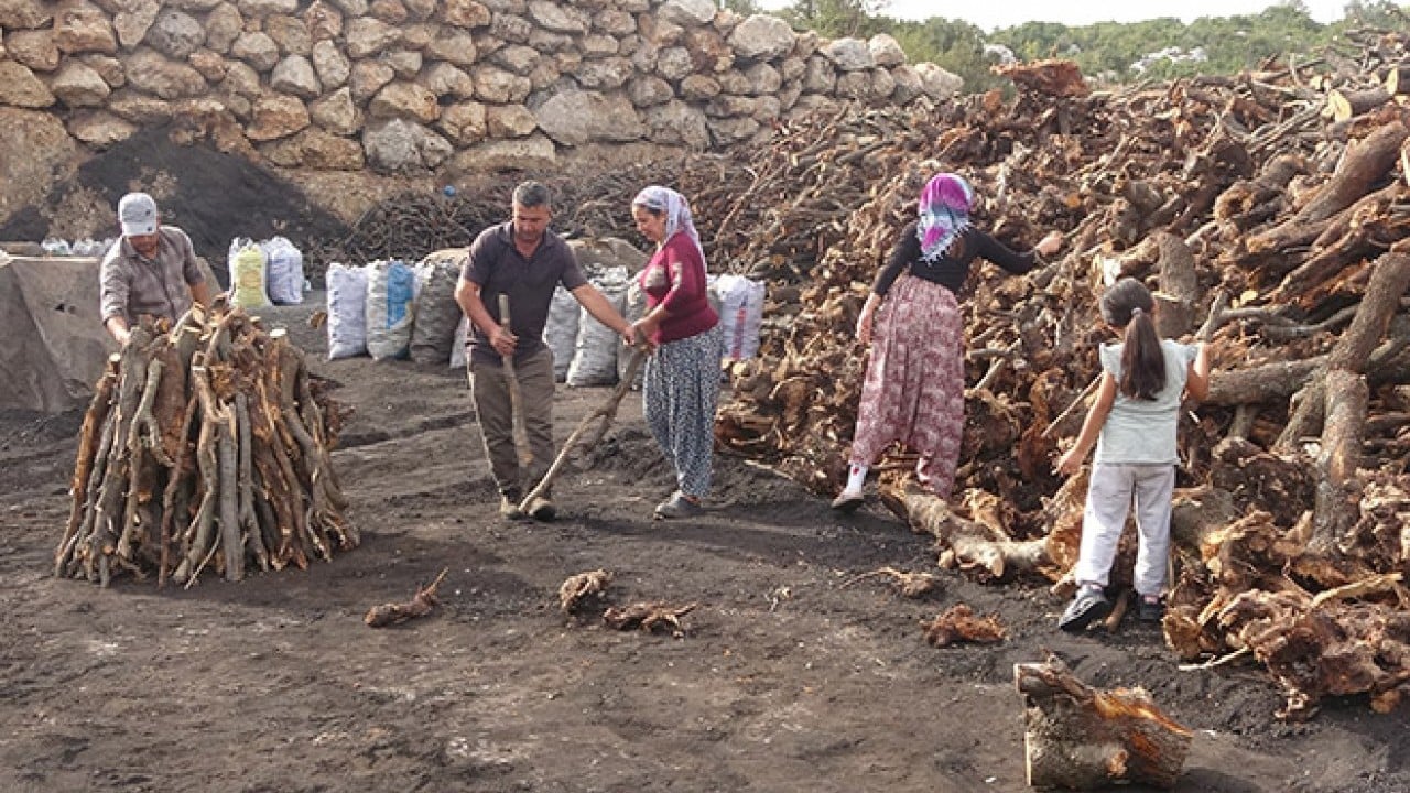 Foto - Dededen toruna 