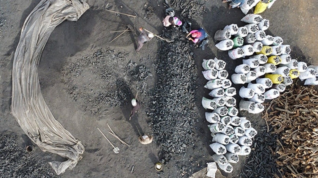 Foto - Dededen toruna 