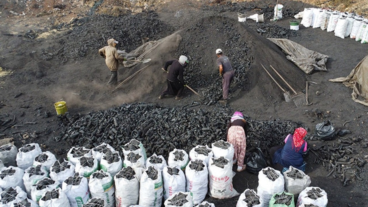 Foto - Dededen toruna 