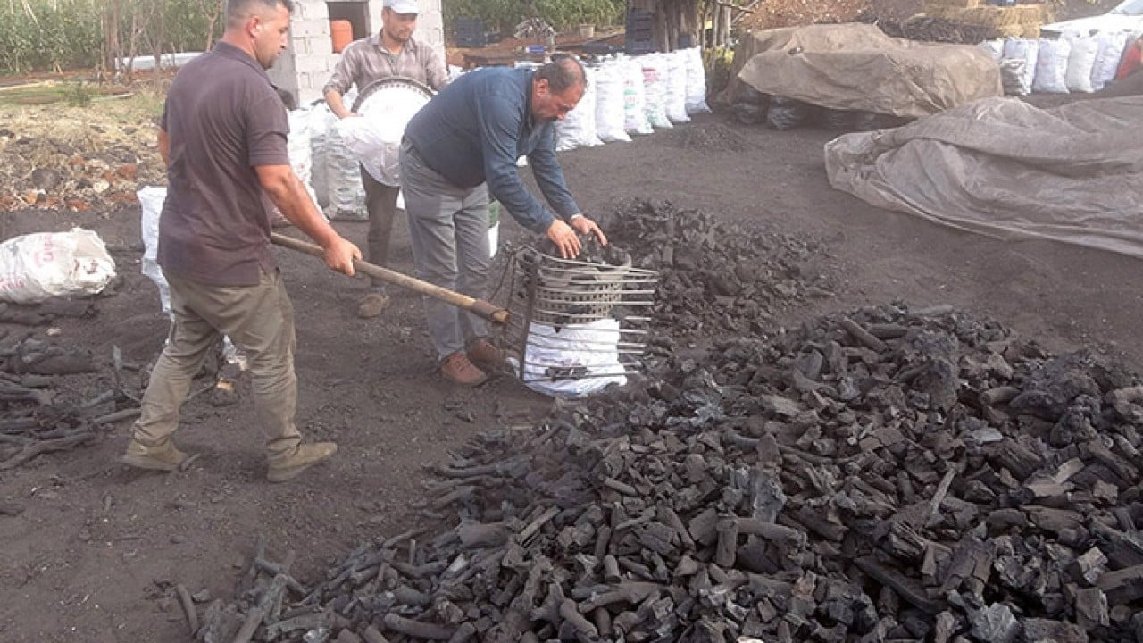 Foto - Dededen toruna 