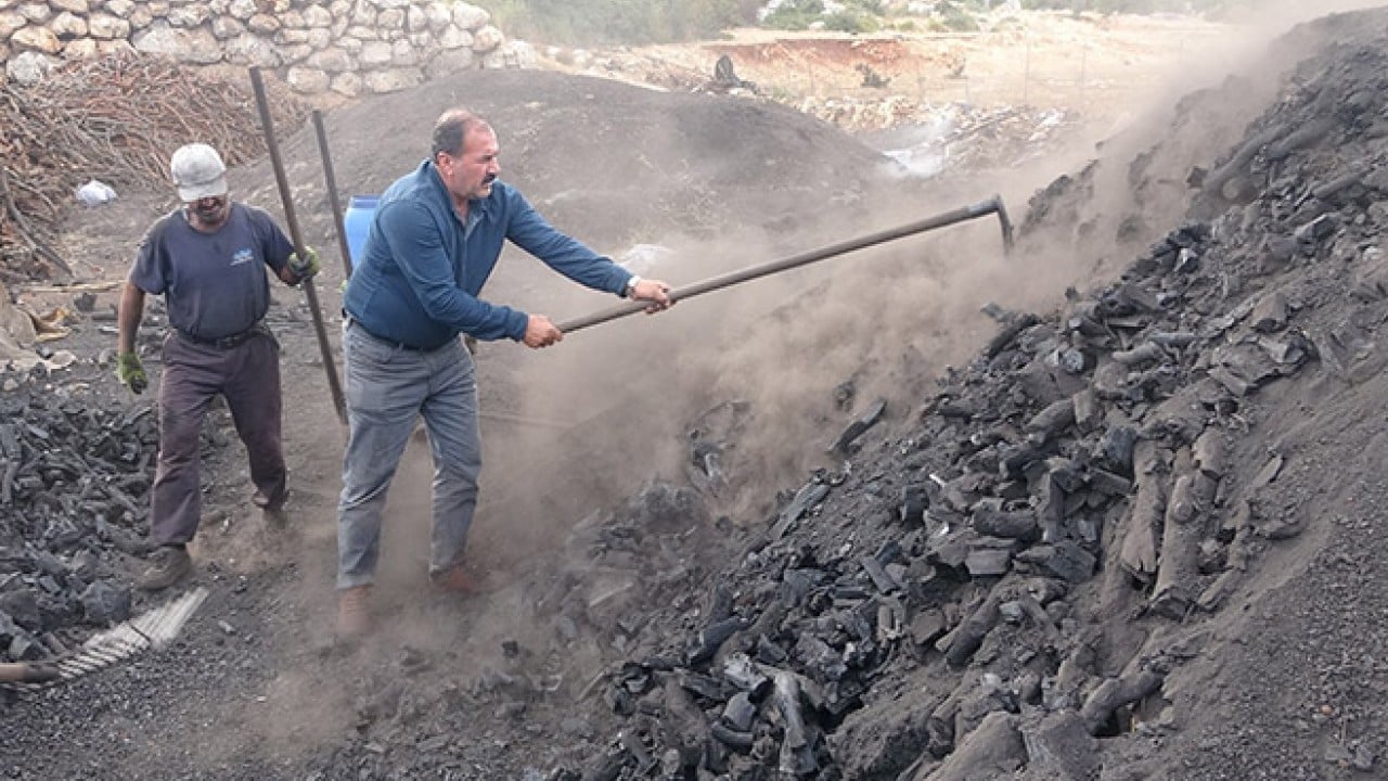 Foto - Dededen toruna 